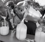 14,1 тыс. тонн молока – из Латвии  в Литву только за май