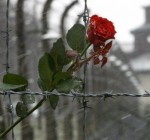 В Литве начинаются памятные мероприятия Дня холокоста