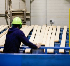 Расследование: белорусская древесина по-прежнему попадает в Литву и весь ЕС (дополнения)