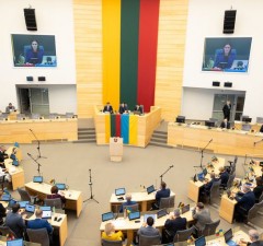 Парламент Литвы на год продлил санкции россиянам и белорусам