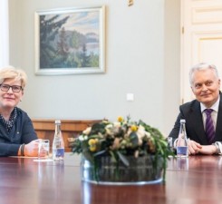 Руководители страны считают, что Литва должна помочь Украине вернуть граждан, подлежащих мобилизации