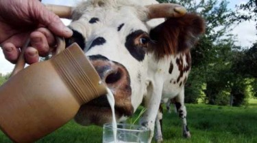 Cейм Литвы отозвал регулирование цен на молоко