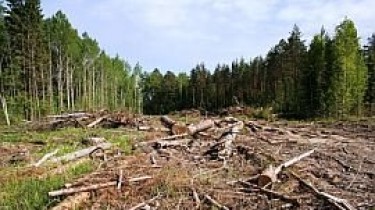 Расширение полигонов: Кабмин разрешил вырубку лесов в Швянченском и Йонавском районах