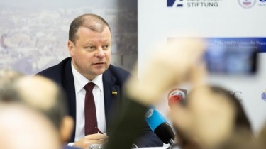 Литве пока не нужно стимулировать экономику - считает С. Сквярнялис