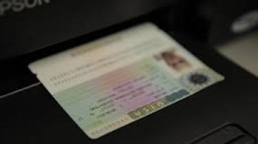 Растут сборы шенгенских и национальных виз Литвы