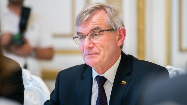 Спикер Сейма Литвы: интернет-голосования за границей не будет