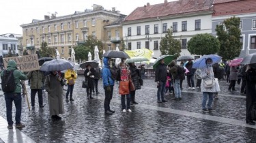 На акцию протеста в Вильнюсе собрались около полусотни человек