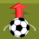 Animal Football 2010