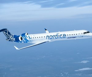 Новый логотип эстонской авиакомпании Nordica изображает стрекозу