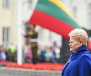  В День государства - о роли Литвы в Европе