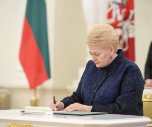 Президент Литвы надеется, что реформы правящих в Cейме поддержит и оппозиция