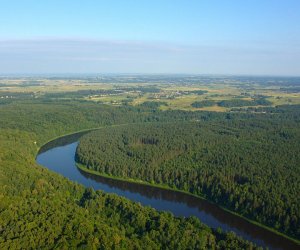 Кабмин Литвы утвердил реорганизацию лесничеств