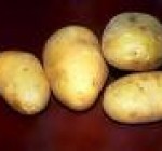 Международный год картофеля - Литва без него никуда