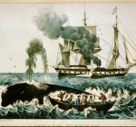 19 февраля в мировой истории:  Всемирный день китов