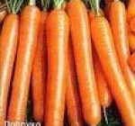 Морковь - против рака