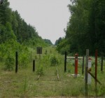Трансграничная преступная группировка хозяйничала на белорусско-литовской границе 
