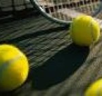 ТЕННИС. Сербская теннисистка Елена Янкович возглавила рейтинг WTA