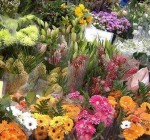 Продавцы цветов