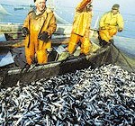 “Северный поток” может лишить заработка литовских рыбаков