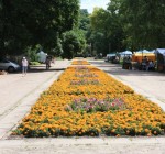 Реконструкция Сярейкишкского парка вызывает сомнения