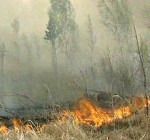 В Россию отправятся не 24 литовских пожарных, а 5