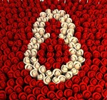 700 000 тюльпанов – на день 8 Марта! С праздником, любимые женщины!