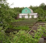 Почему сад-огород уменьшился?