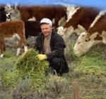 Выплата госпомощи за молоко в Литве начнется в декабре