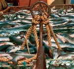 Литовские рыбные изделия ждут в Бразилии