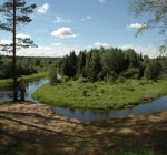 В Литве будет 42 лесничества