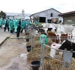 Новые рынки помогут восстановиться молочному сектору Литвы