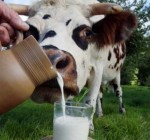 Cейм Литвы отозвал регулирование цен на молоко