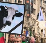 ЕК обещает выделить производителям молока Литвы дополнительные 13,3 млн. евро
