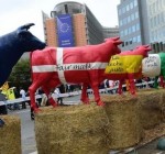 Страны Балтии и Вышеграда: фермерам во всем ЕС - одинаковые прямые выплаты