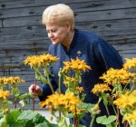 Жители Литвы оценивают работу президента на "восьмерку"