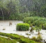 Экстремальные погодные условия: убытки сельского хозяйства Литвы на сотни миллионов евро