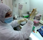 Большая волна проверок на коронавирус уже прошла, считает министр здравоохранения Литвы