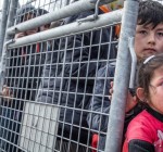 В ООН призвали власти ЕС не депортировать мигрантов в период пандемии