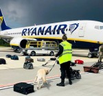 Самолет Ryanair, летевший в Вильнюс, был принудительно посажен в Минске