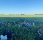 Двое детей пересекших границу с Беларусью нелегальных мигрантов доставлены в реанимацию
