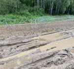 На границе Польши и Беларуси разрушены строящиеся заграждения