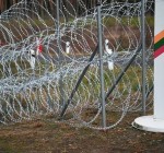 Литовские пограничники развернули на границе с Беларусью 9 незаконных мигрантов