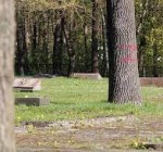 Деревья на каунасском военном кладбище изрисованы буквой Z