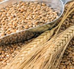 СМИ: США допускают снятие санкций на удобрения Беларуси в обмен на транзит зерна