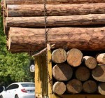 В понедельник из Калининграда в Литву не пропустили груз древесины