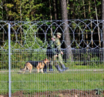 На границе с Беларусью литовские пограничники развернули 21 мигранта