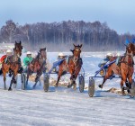 Вместо традиционных конных скачек "Сартай" в этом году в Дусетосе Зарасайского района проходит зимний фестиваль