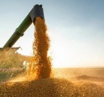 Литовский министр: транзит российского зерна через Латвию – большая проблема