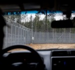 СОГГЛ: за сутки на границе Литвы с Беларусью нелегальных мигрантов не фиксировалось