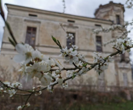 10. Согласно законодательству, его не имеют права сносить или радикально перестраивать. Дворцу присвоен статус культурного наследия. 4